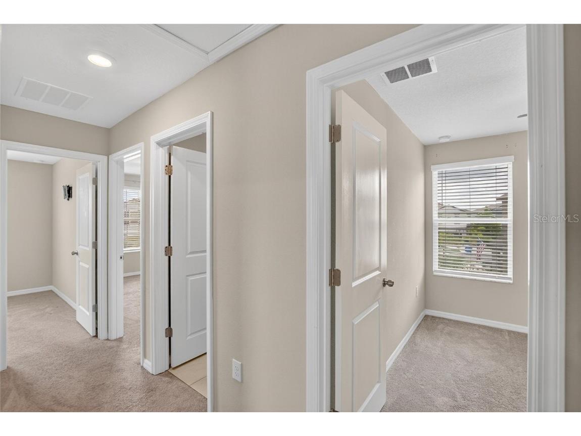 12788 Maple Bonsai Drive Riverview FL 33579 TB8420924 image24