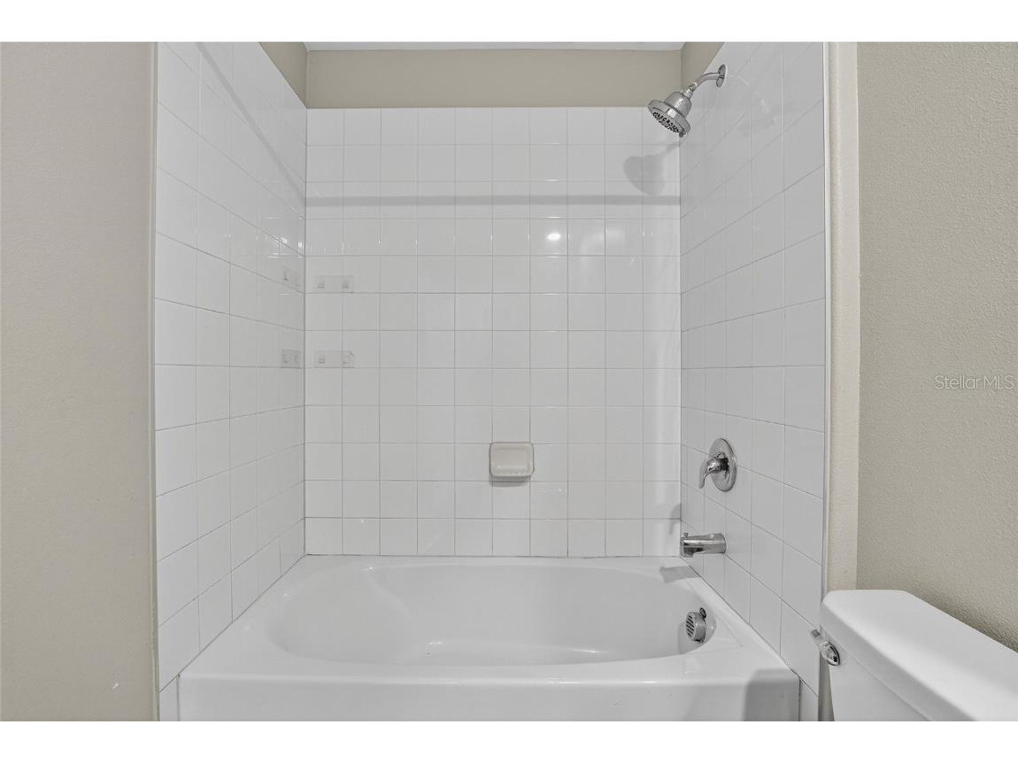 12788 Maple Bonsai Drive Riverview FL 33579 TB8420924 image29