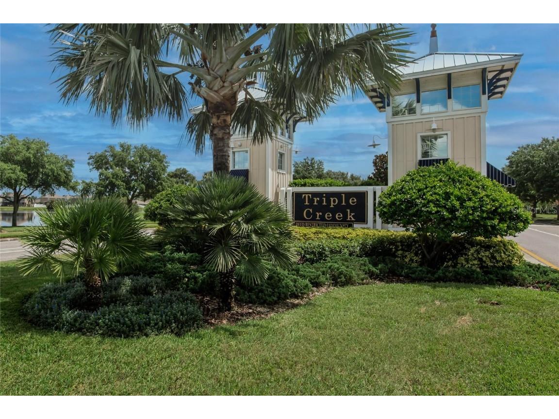 12788 Maple Bonsai Drive Riverview FL 33579 TB8420924 image43