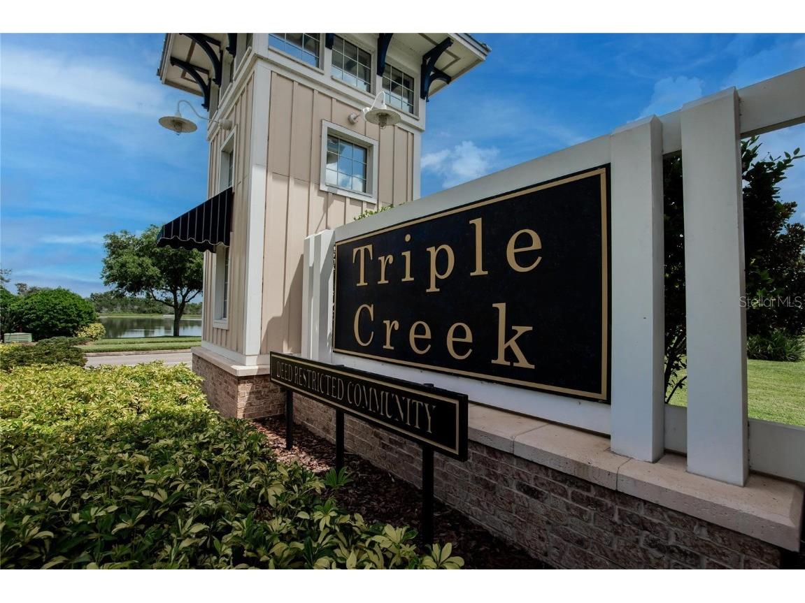 12788 Maple Bonsai Drive Riverview FL 33579 TB8420924 image7