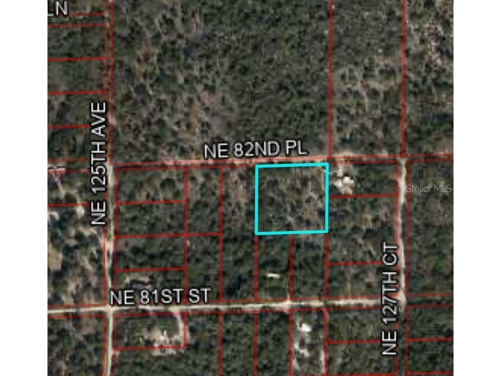12790 Ne 82nd Pl Bronson FL 32621 TB8444264 image1