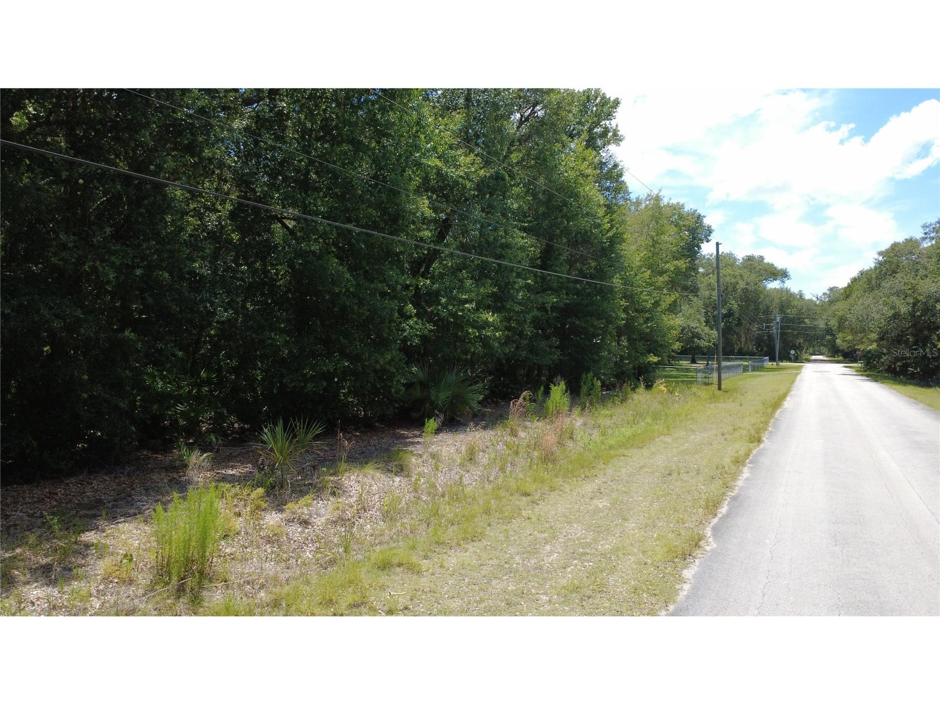 12792 W Baltic Ivy Street Crystal River FL 34428 OM729159 image1