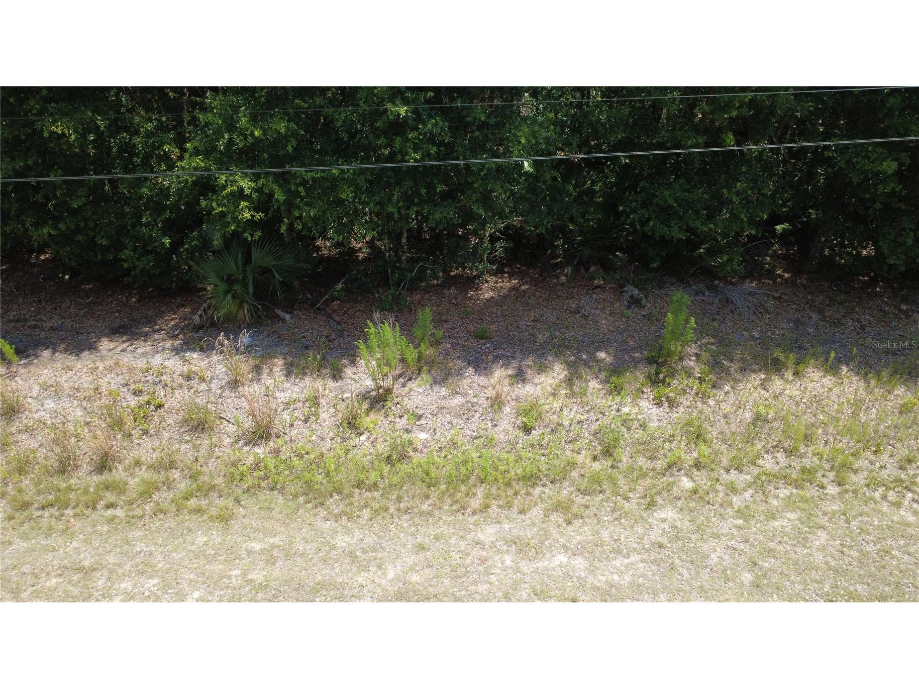 12792 W Baltic Ivy Street Crystal River FL 34428 OM729159 image3