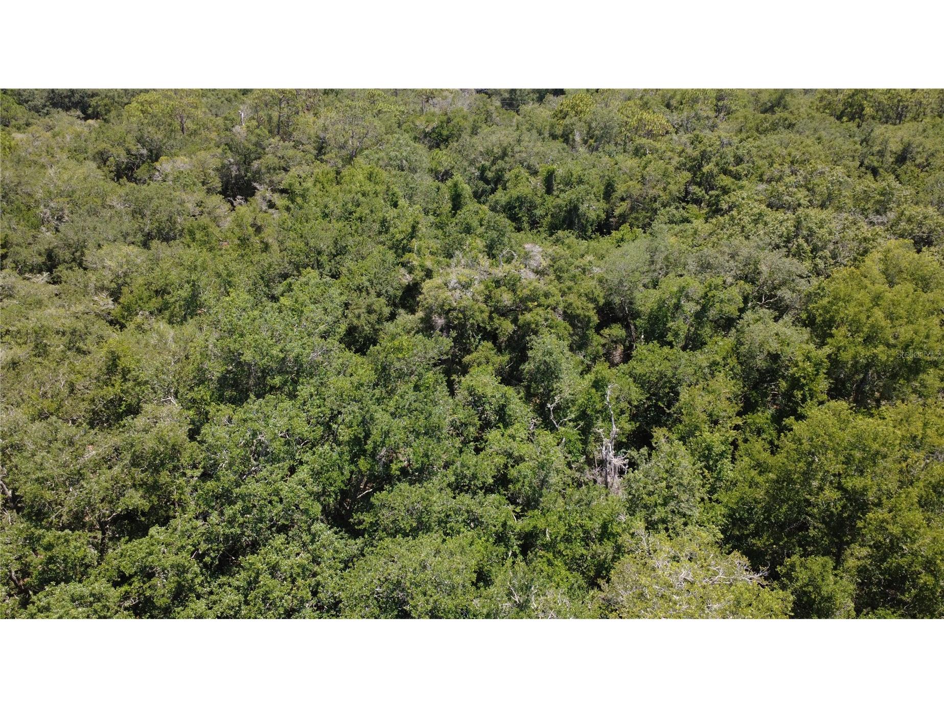 12792 W Baltic Ivy Street Crystal River FL 34428 OM729159 image4