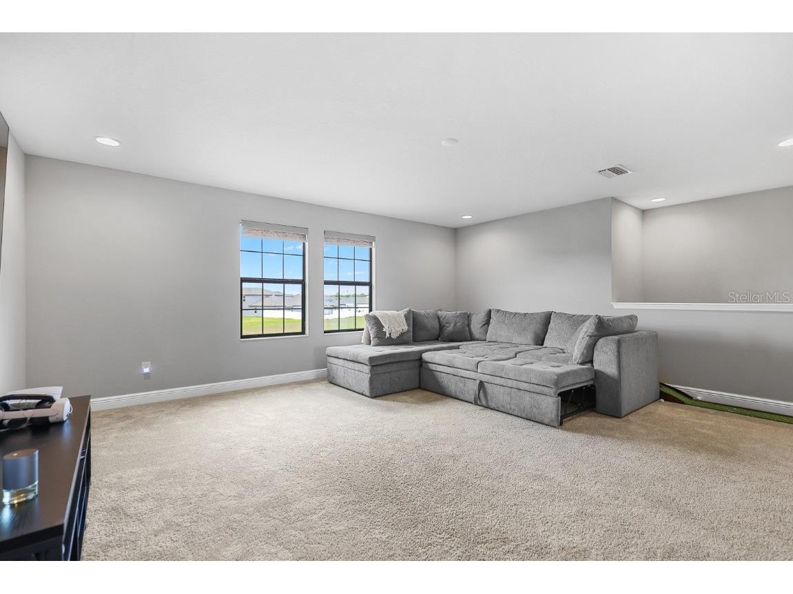 12795 Fisherville Way Riverview FL 33579 TB8447442 image20