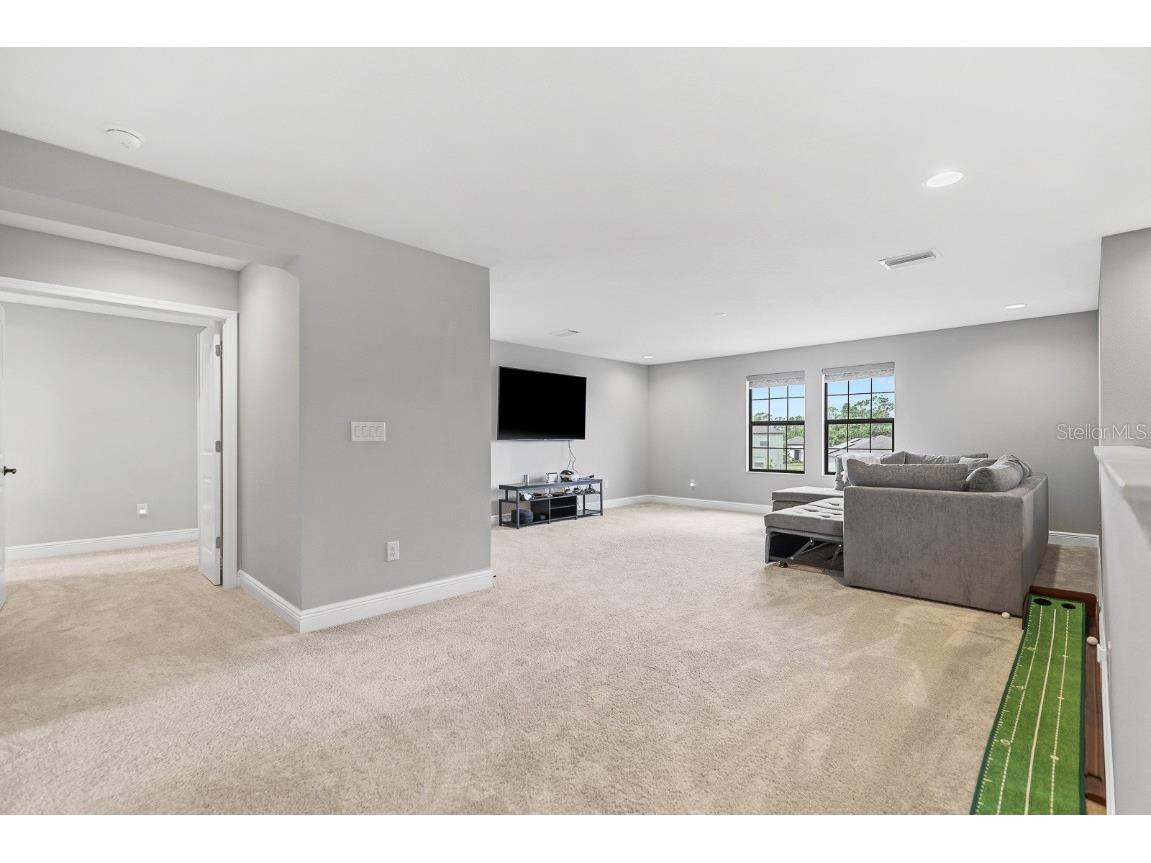 12795 Fisherville Way Riverview FL 33579 TB8447442 image21