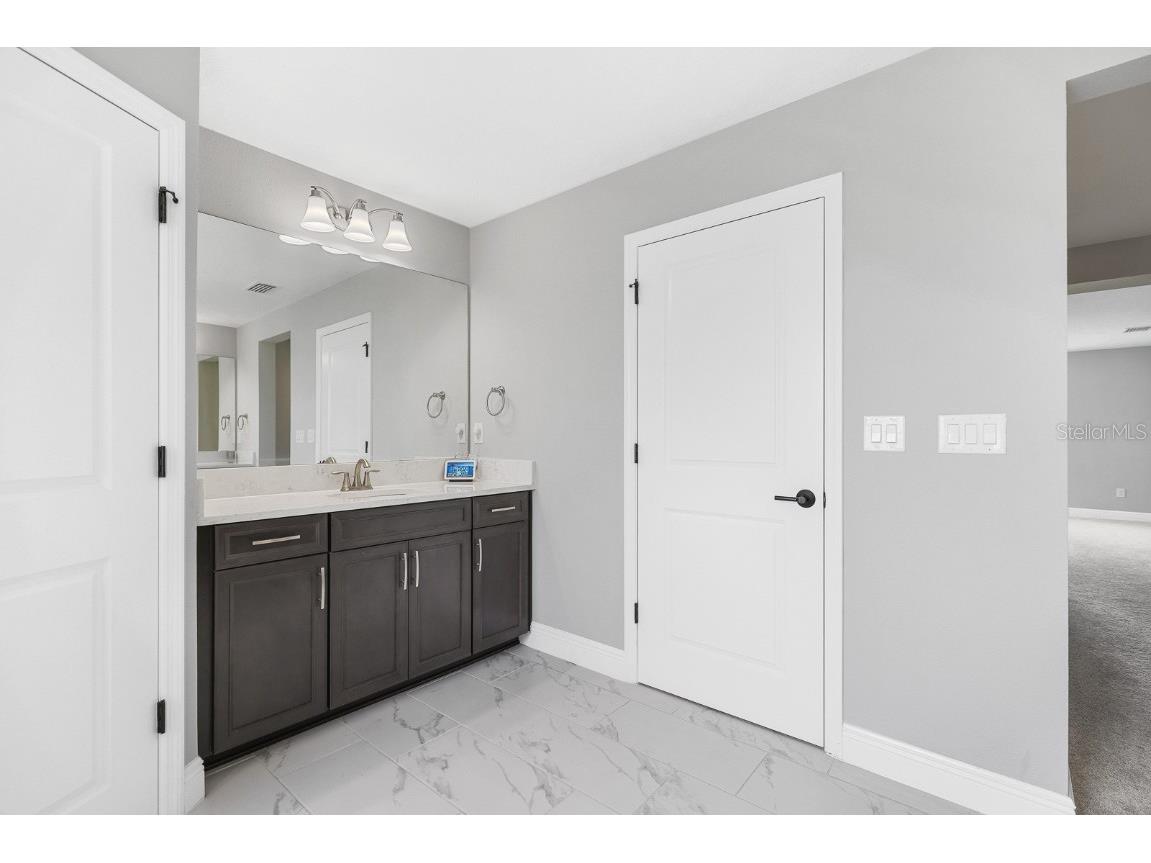 12795 Fisherville Way Riverview FL 33579 TB8447442 image26