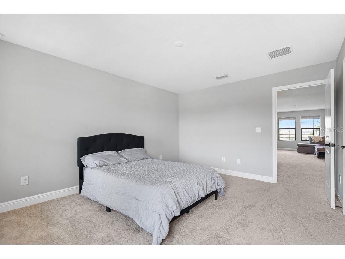 12795 Fisherville Way Riverview FL 33579 TB8447442 image28