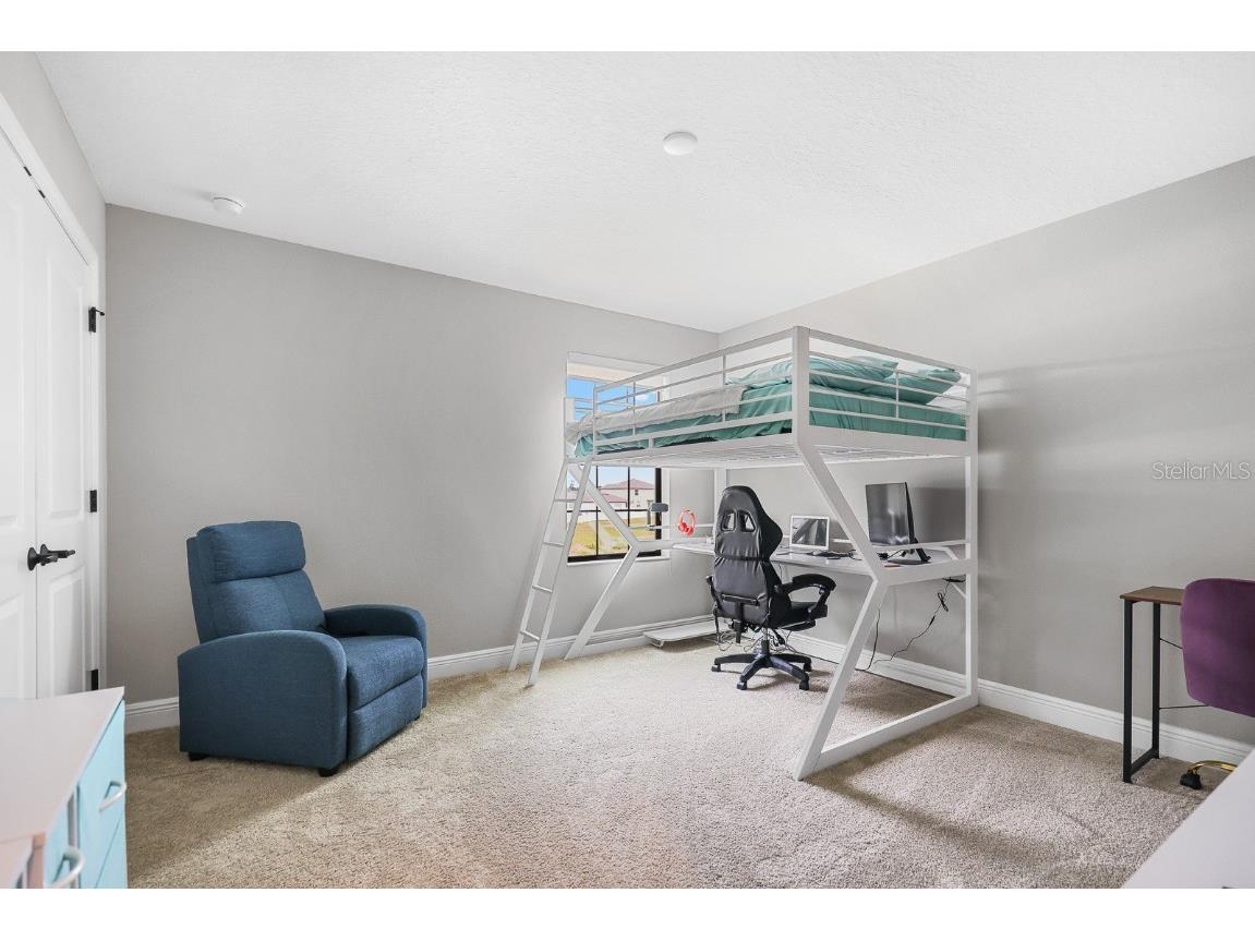 12795 Fisherville Way Riverview FL 33579 TB8447442 image33