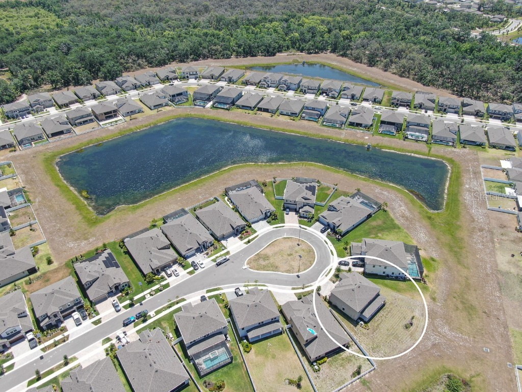 12795 Fisherville Way Riverview FL 33579 TB8447442 image45