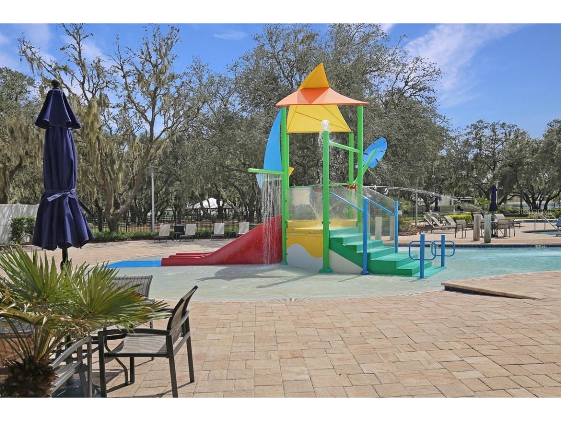 12795 Fisherville Way Riverview FL 33579 TB8447442 image54