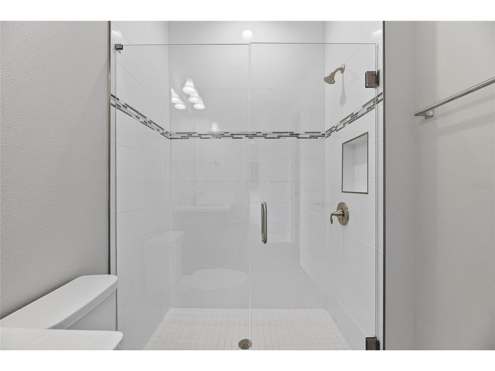 12795 Fisherville Way Riverview FL 33579 TB8493421 image27