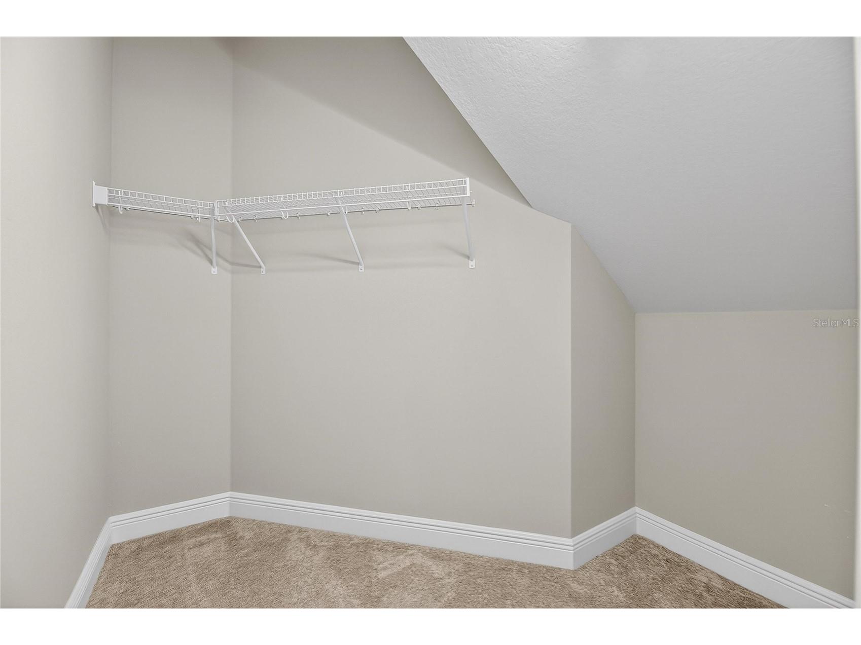 12795 Fisherville Way Riverview FL 33579 TB8493421 image29