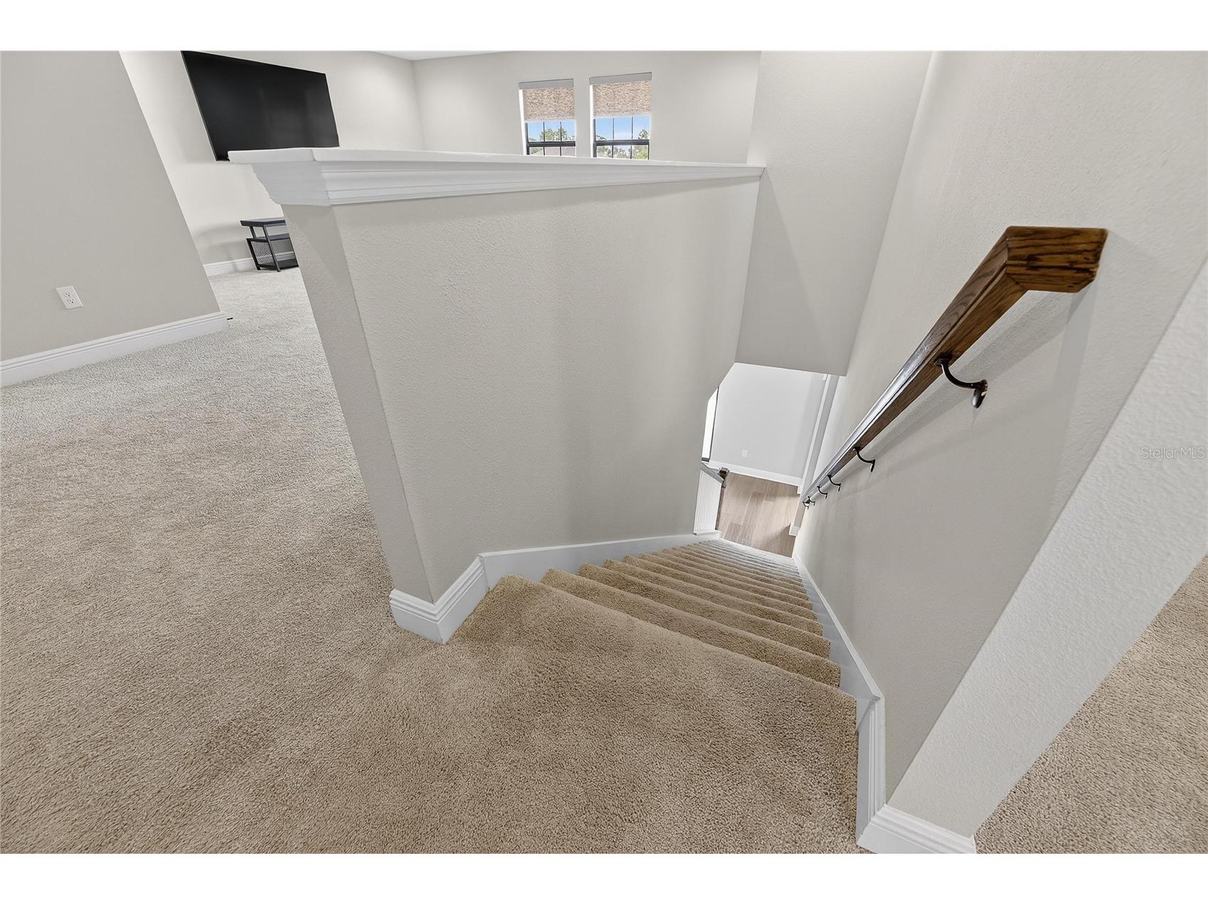 12795 Fisherville Way Riverview FL 33579 TB8493421 image32