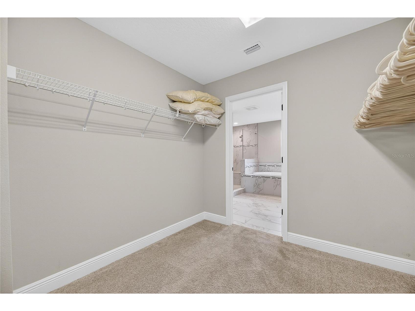 12795 Fisherville Way Riverview FL 33579 TB8493421 image41