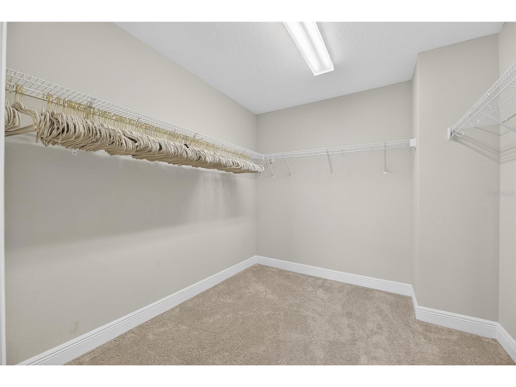 12795 Fisherville Way Riverview FL 33579 TB8493421 image42