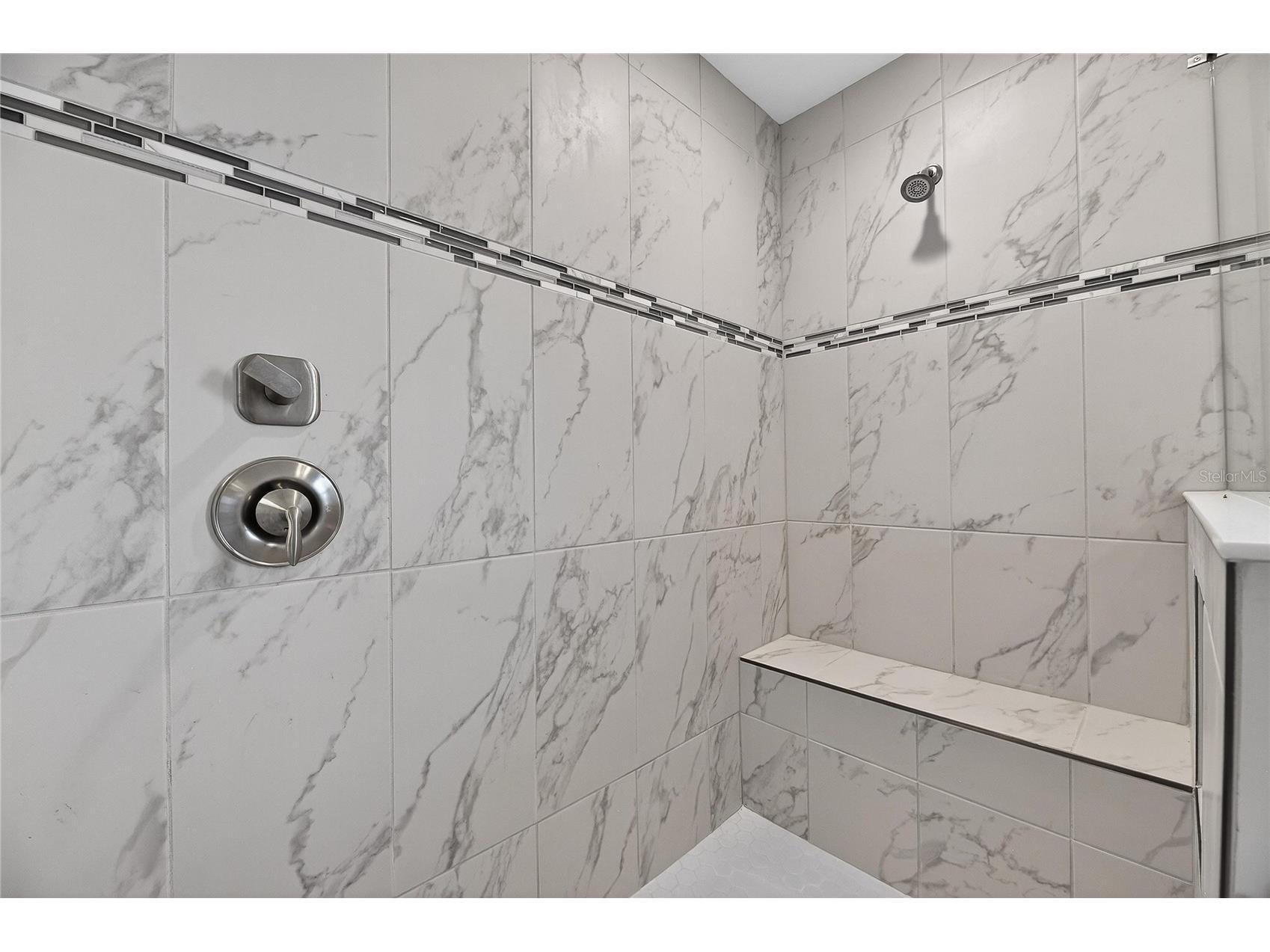12795 Fisherville Way Riverview FL 33579 TB8493421 image44