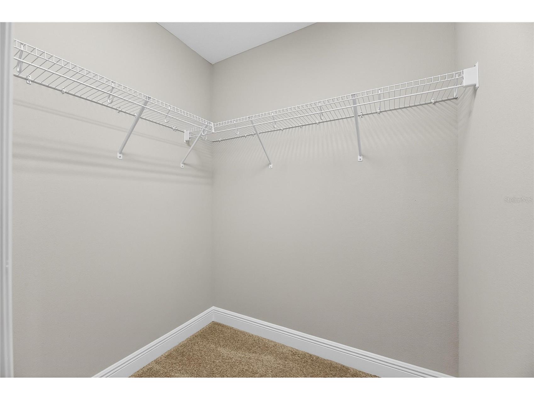 12795 Fisherville Way Riverview FL 33579 TB8493421 image50