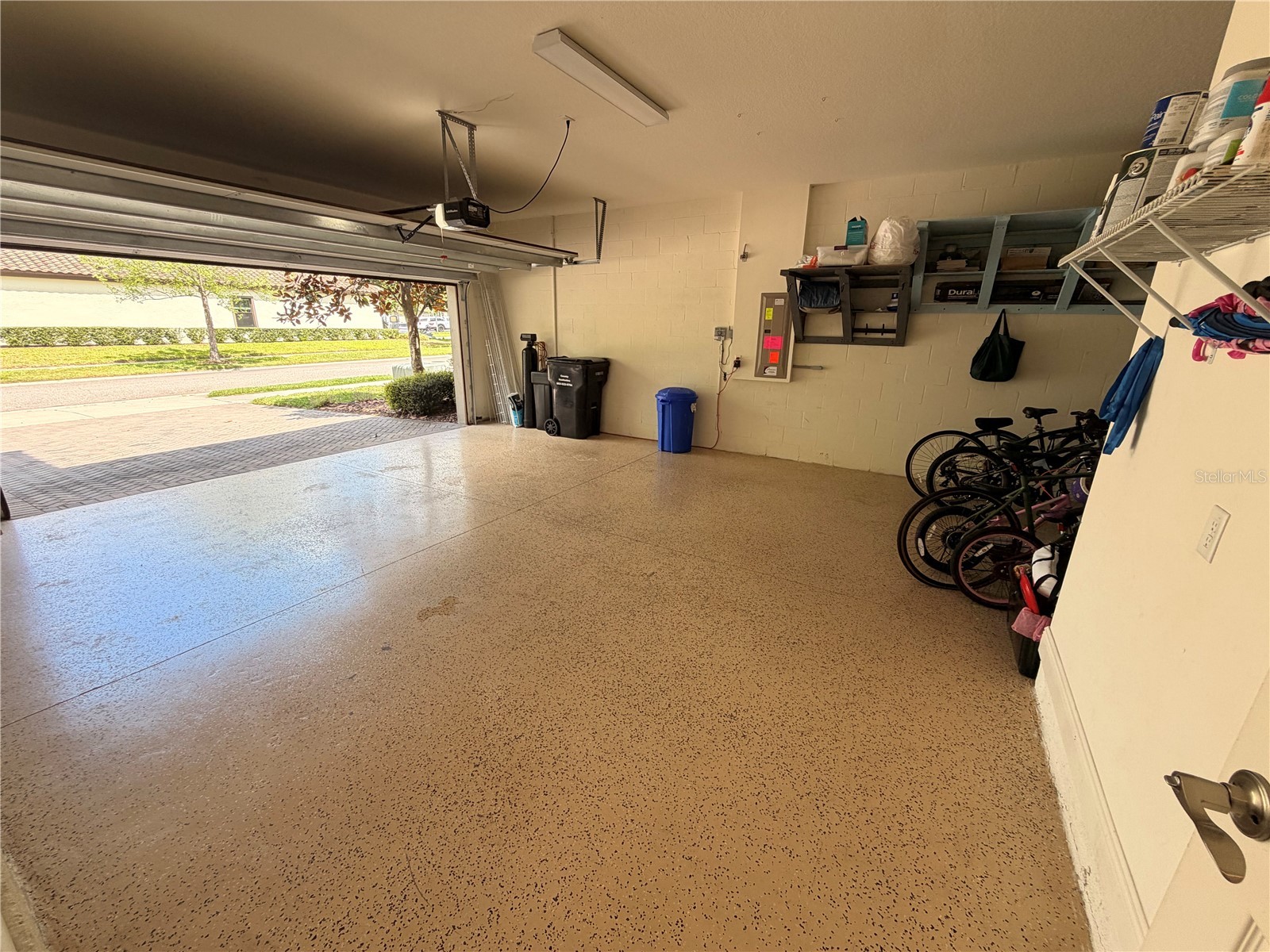 12798 Munro Lane Odessa FL 33556 TB8492063 image59