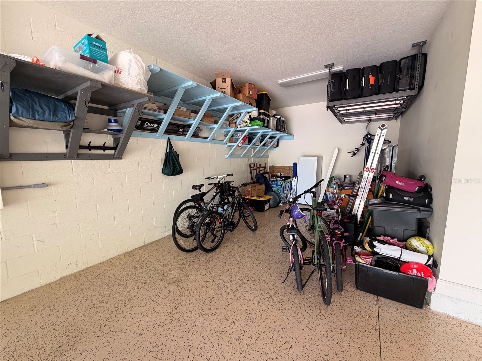 12798 Munro Lane Odessa FL 33556 TB8492063 image60