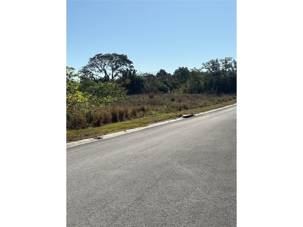 128 5th Avenue Babson Park FL 33827 P4937313 image3