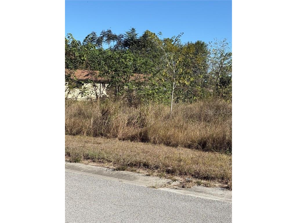 128 5th Avenue Babson Park FL 33827 P4937313 image4