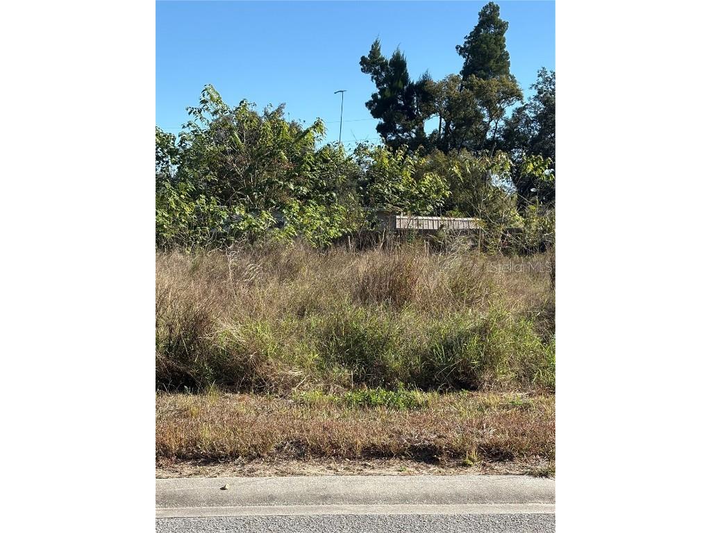 128 5th Avenue Babson Park FL 33827 P4937313 image5