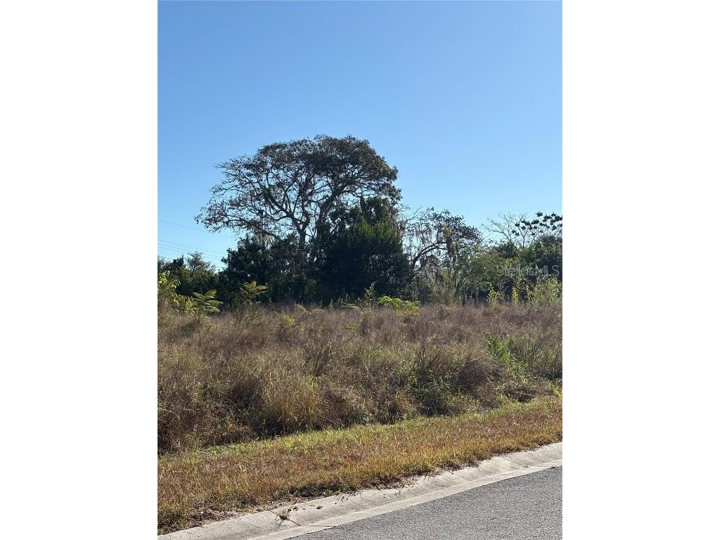 128 5th Avenue Babson Park FL 33827 P4937313 image6