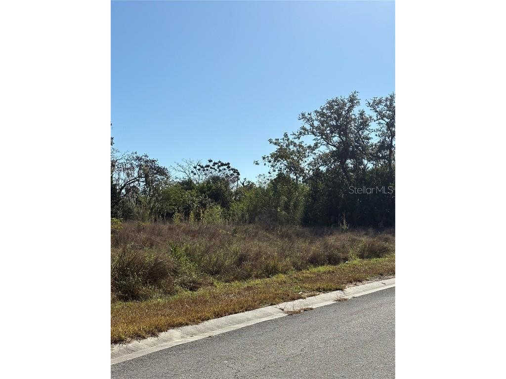 128 5th Avenue Babson Park FL 33827 P4937313 image7