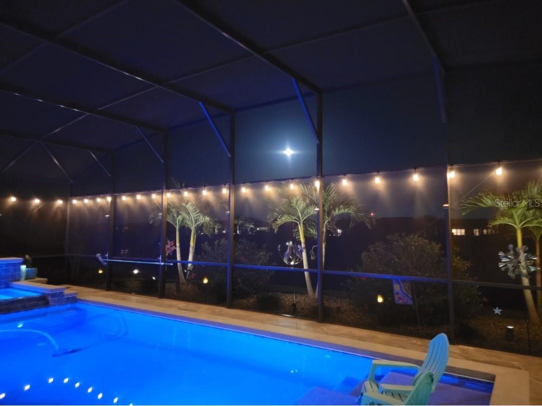 128 Balmy Coast Road Groveland FL 34736 G5108985 image31