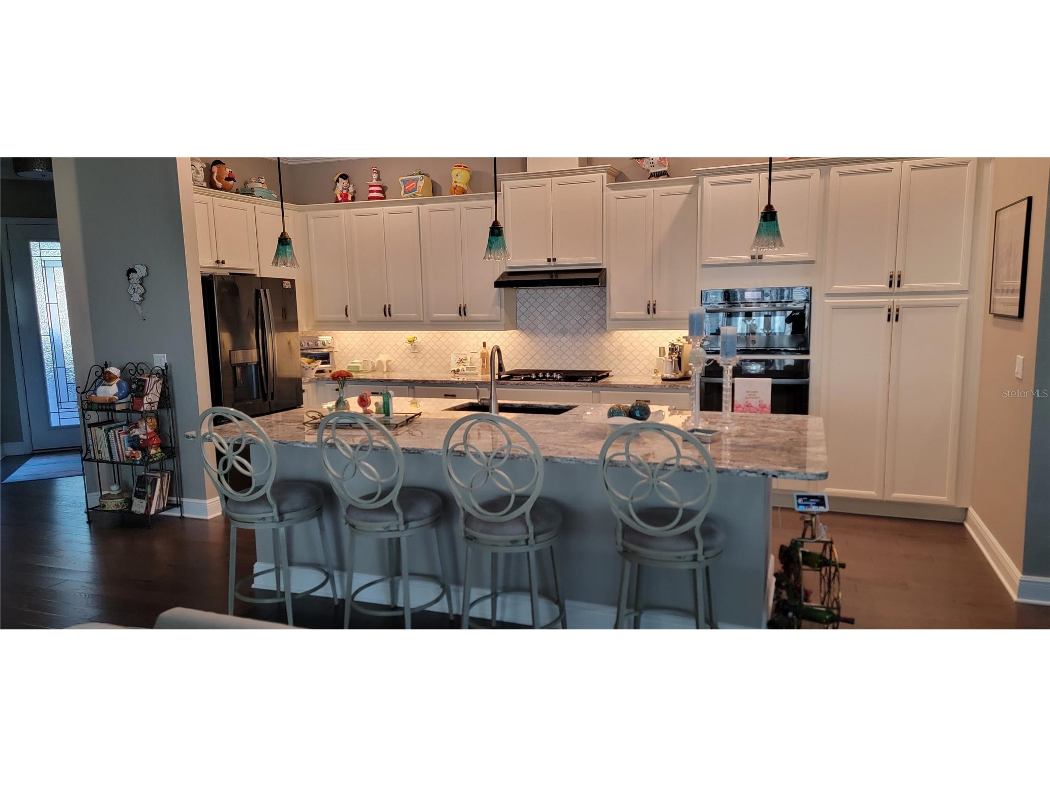 128 Balmy Coast Road Groveland FL 34736 G5108985 image7