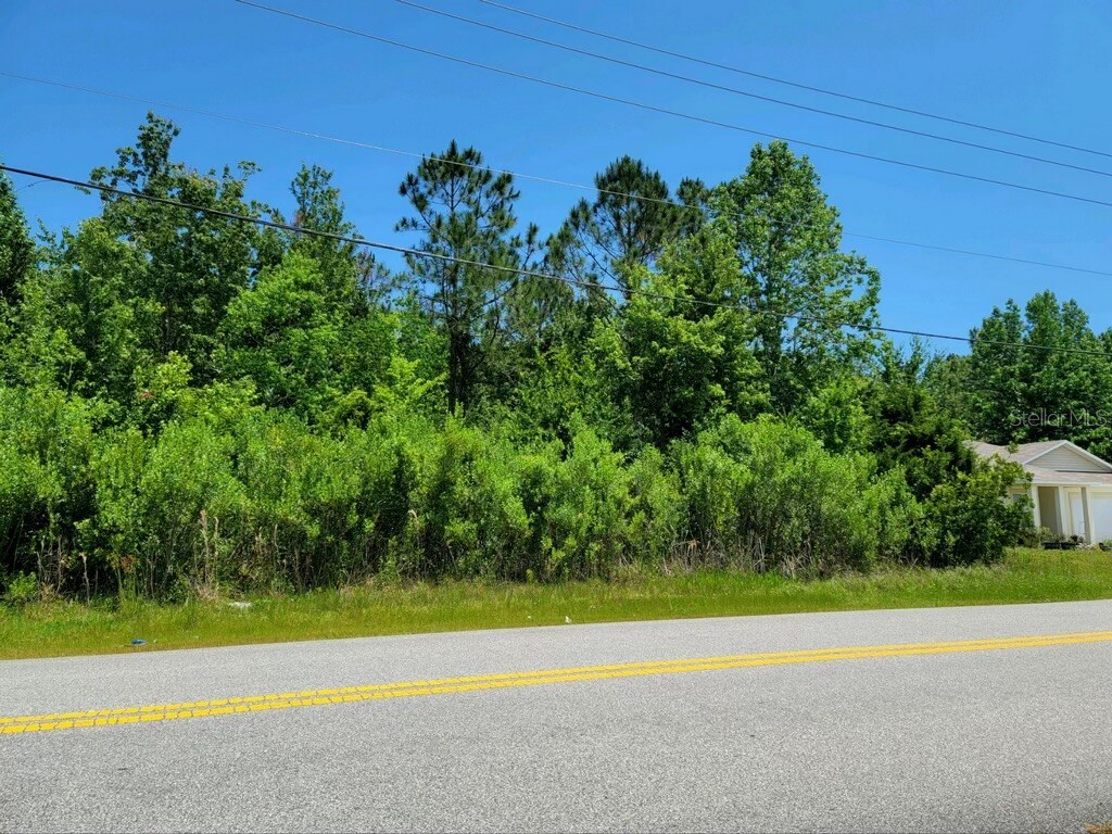 128 Bird Of Paradise Drive Palm Coast FL 32137 U8242299 image1