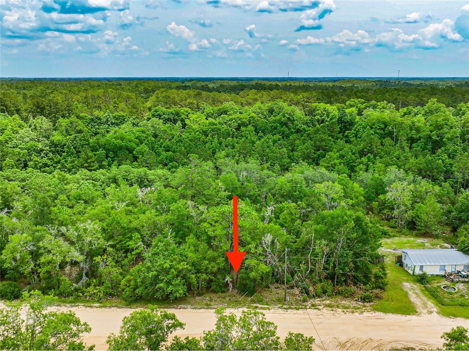 128 Carmichael Road Interlachen FL 32148 O6400577 image11