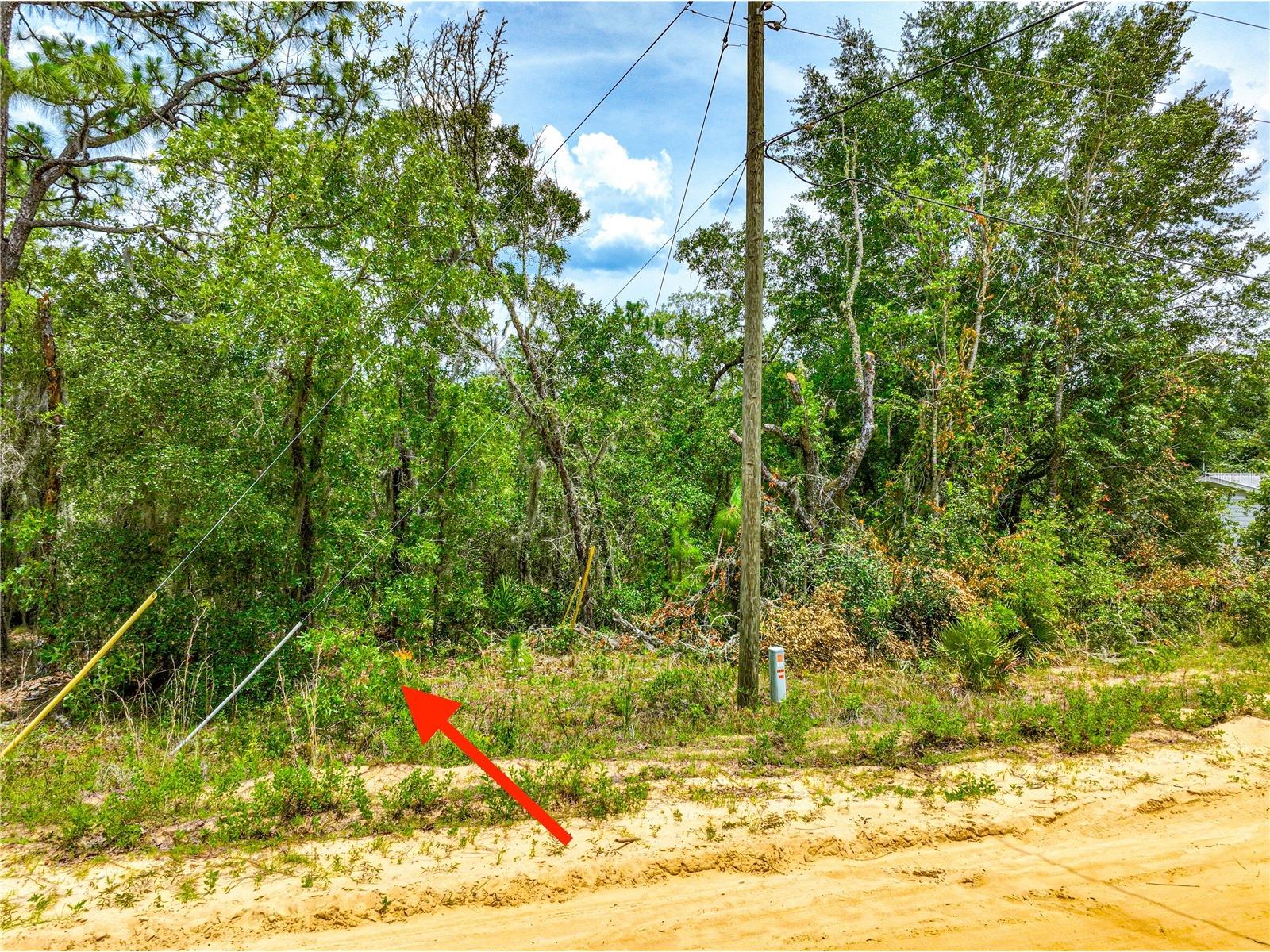 128 Carmichael Road Interlachen FL 32148 O6400577 image5