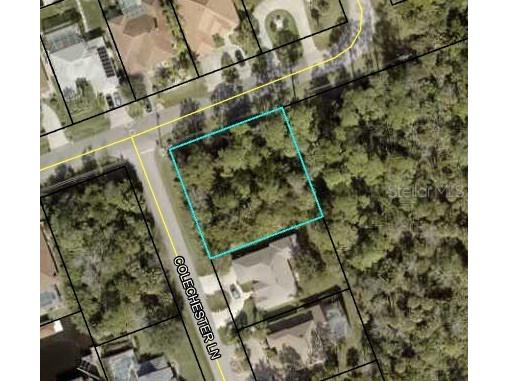 128 Colechester Lane Palm Coast FL 32137 FC296279 image1