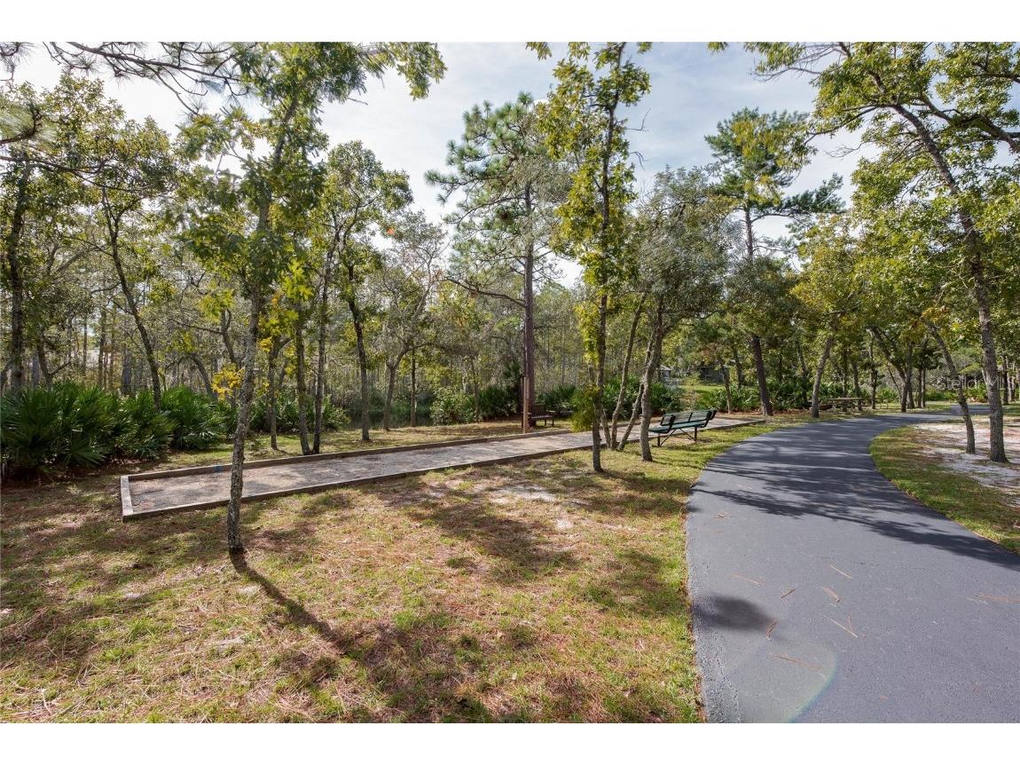 128 Crooked Pine Road Port Orange FL 32128 V4944401 image42