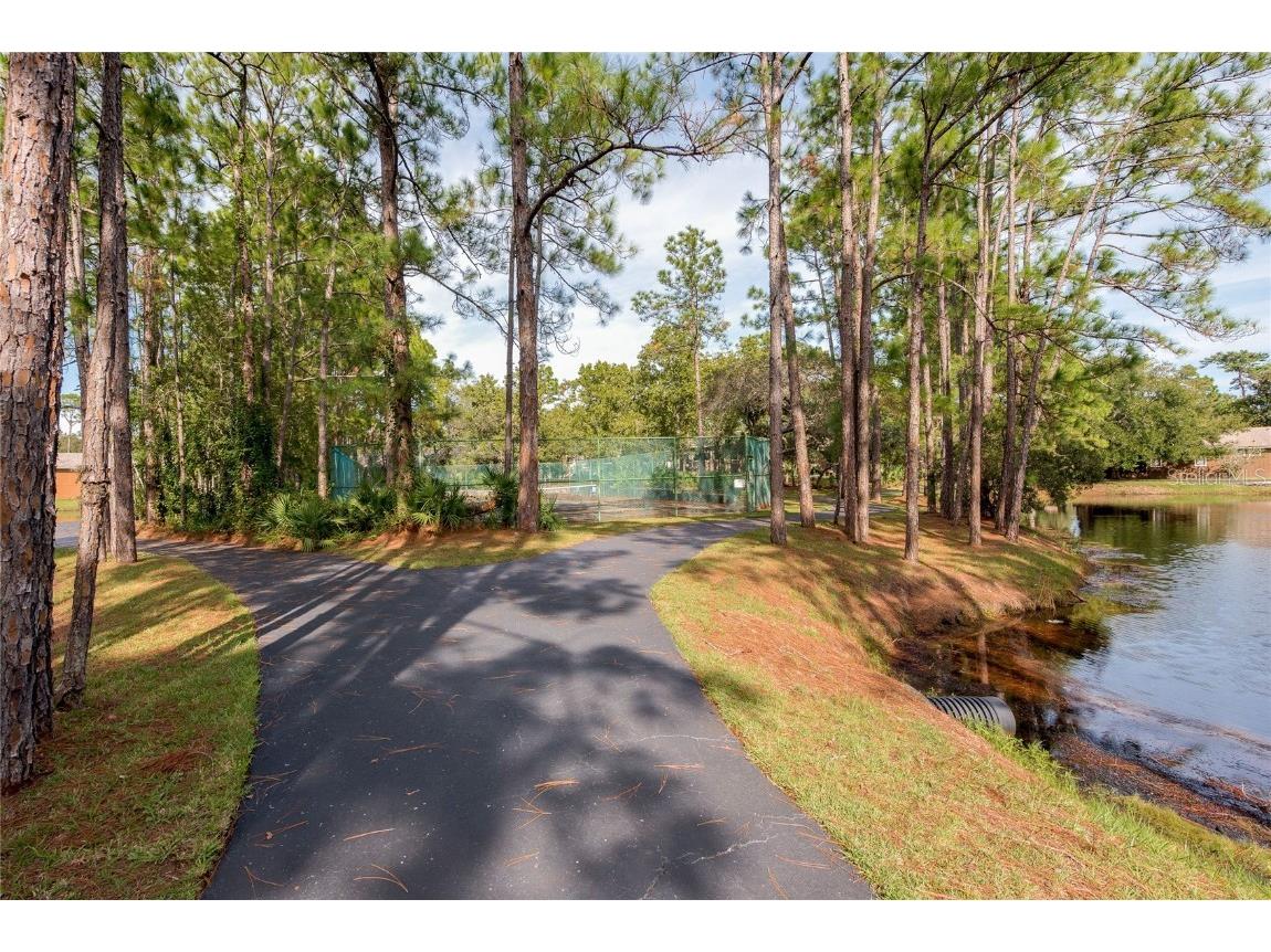 128 Crooked Pine Road Port Orange FL 32128 V4944401 image44