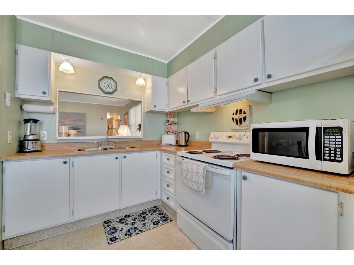 128 E Saint Johns Way Apollo Beach FL 33572 TB8365312 image10