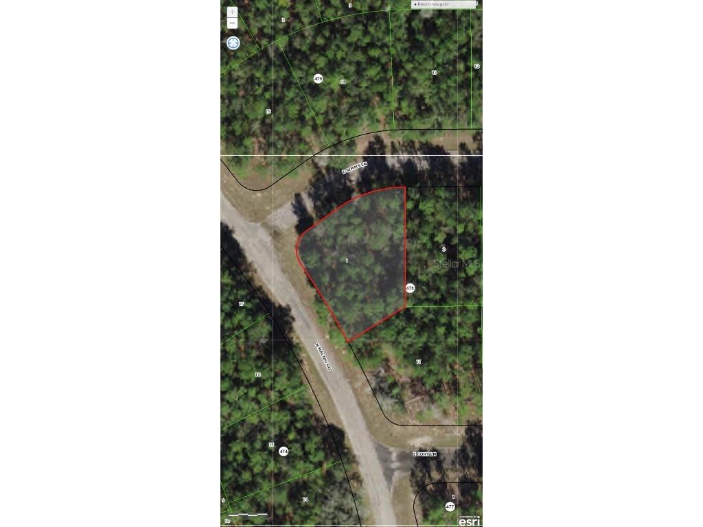 128 E Simms Lane Citrus Springs FL 34434 O6093509 image1