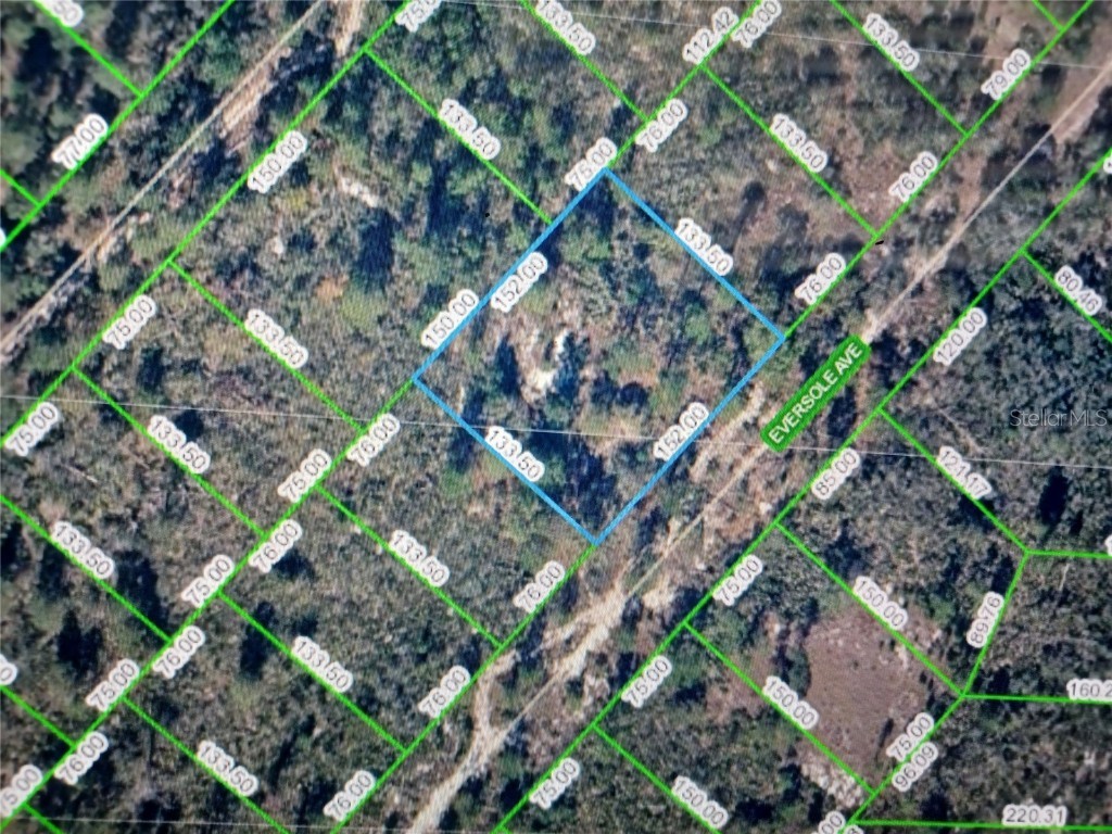 128 Eversole Avenue Lake Placid FL 33852 O6160243 image1