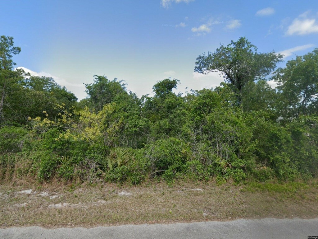 128 Hawaii Drive NE Lake Placid FL 33852 TB8373929 image1