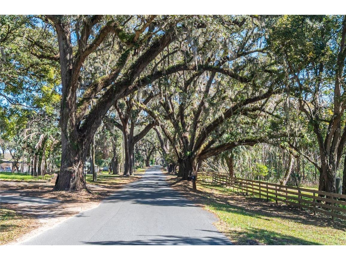 128 Mockingbird Lane Lady Lake FL 32159 O6282415 image1