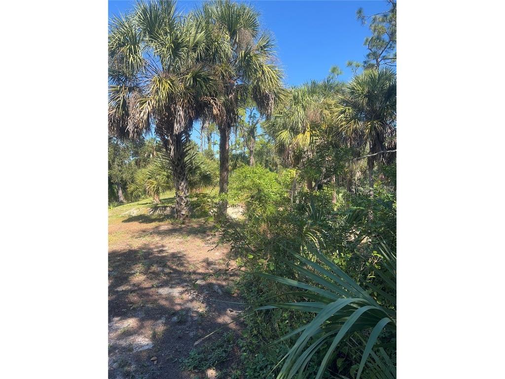 128 Prineville Street Port Charlotte FL 33954 C7517146 image3