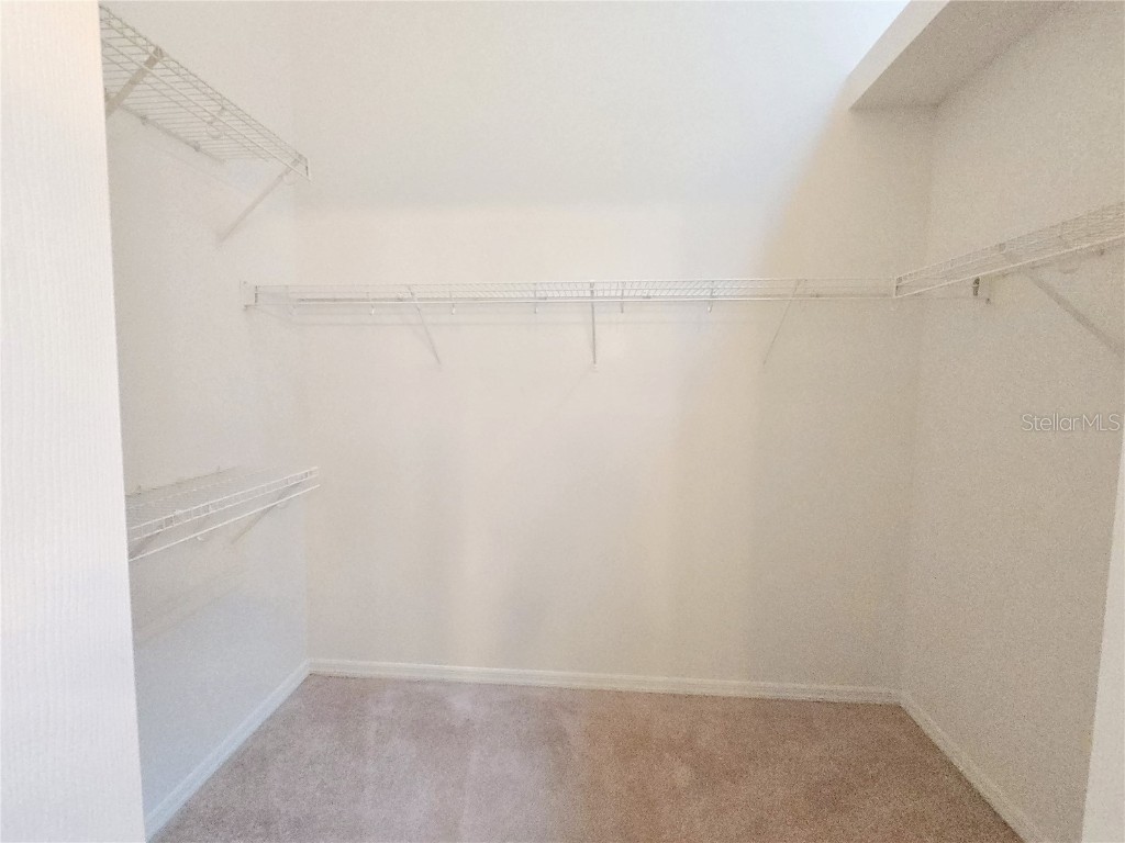 128 Sandhill Crane Run Orlando FL 32828 TB8405584 image28