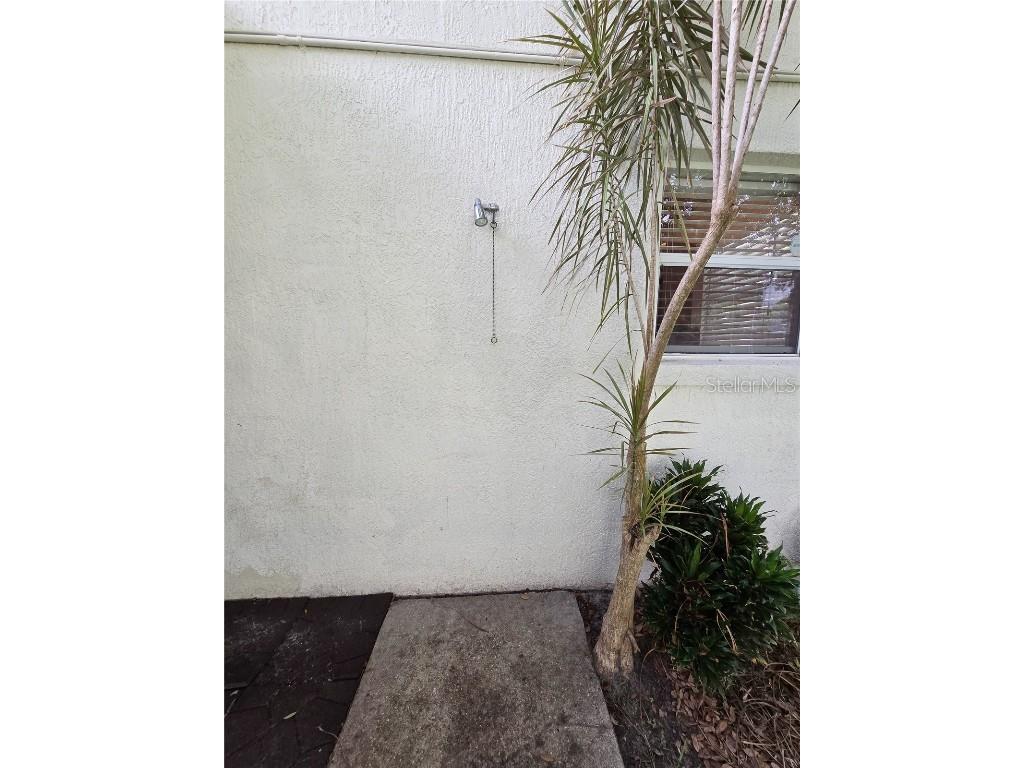 128 Sandhill Crane Run Orlando FL 32828 TB8405584 image39