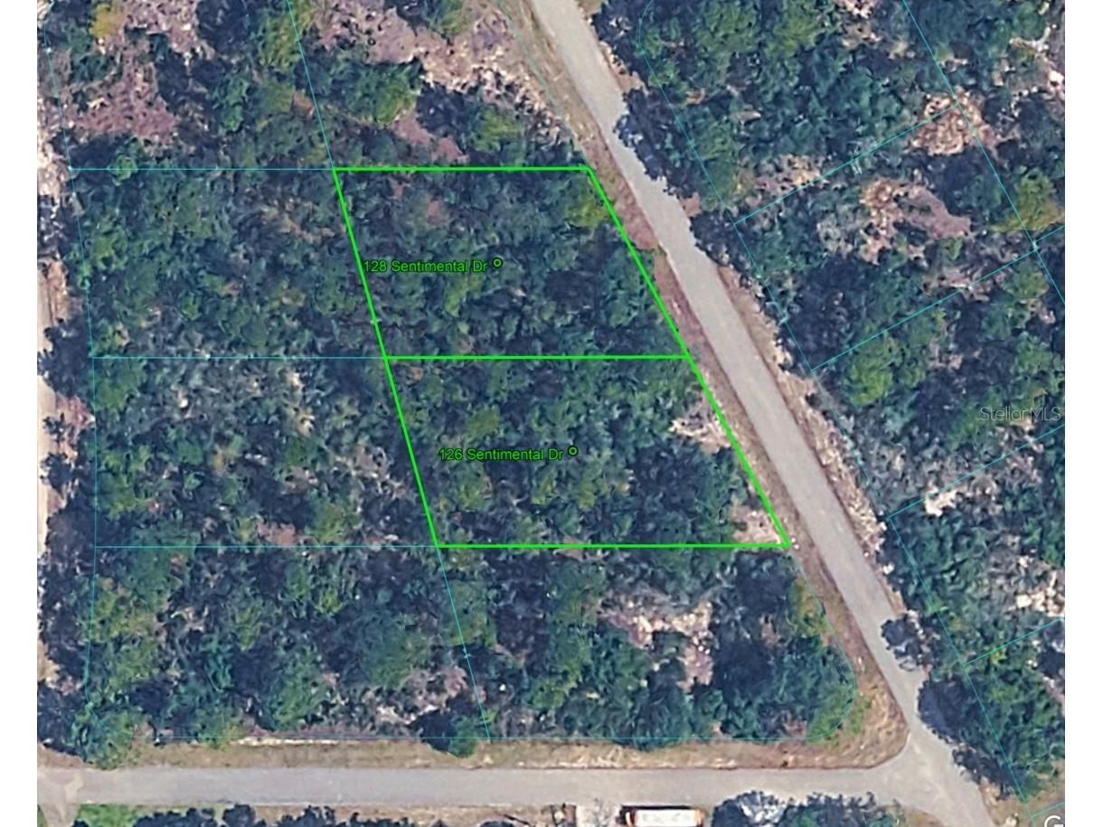 128 Sentimental Drive Lake Placid FL 33852 O6407311 image2