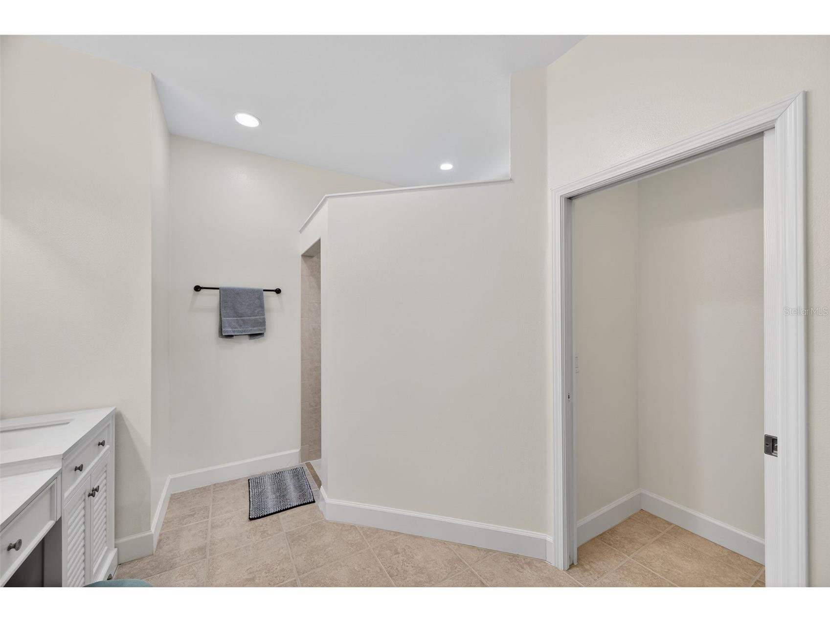 128 Silver Falls Drive Apollo Beach FL 33572 TB8459323 image33