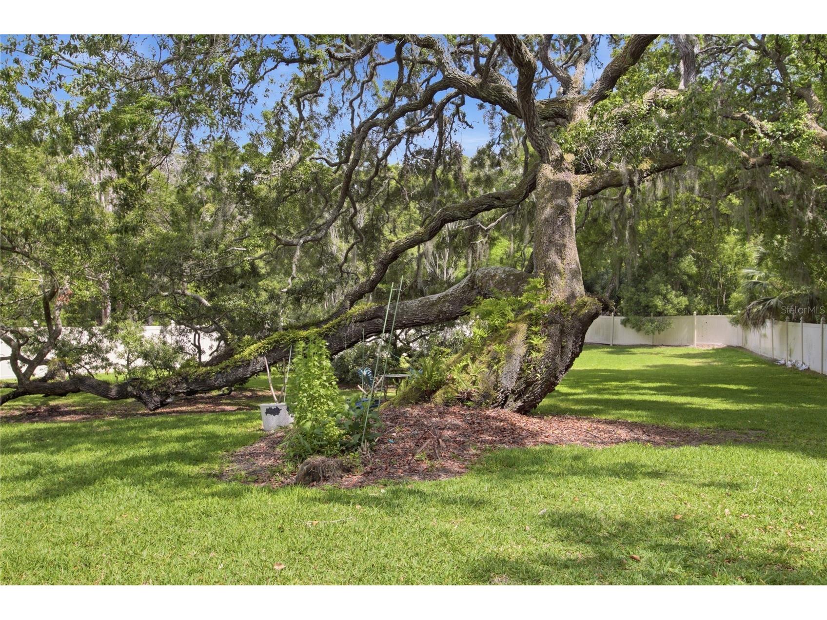 128 W Greentree Lane Lake Mary FL 32746 V4948722 image50