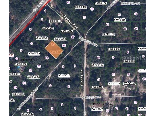 128 W Hillsborough Avenue Florahome FL 32140 OM630754 image3