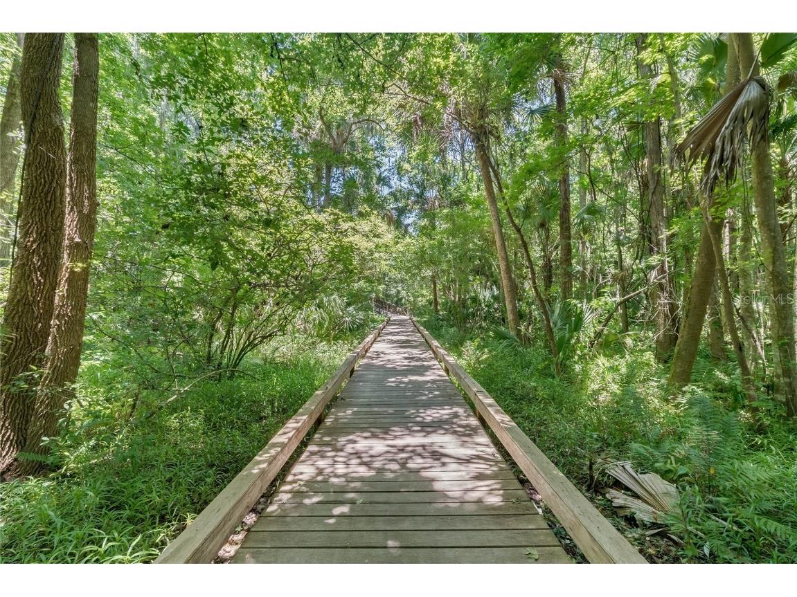 128 Woodmill Road Longwood FL 32779 O6327119 image63